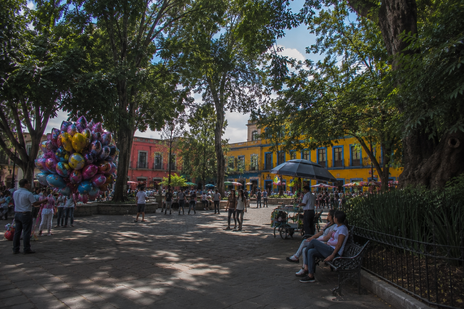 Coyoacán neighborhood
