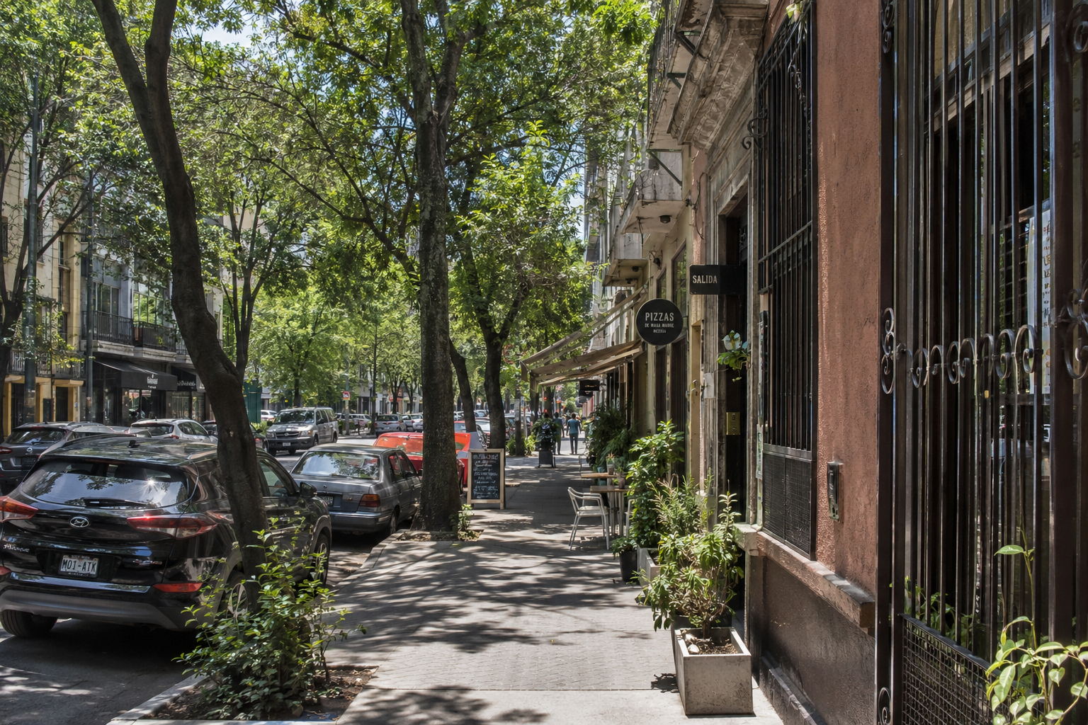 Roma Norte neighborhood